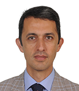Prof. Dr. Mesut Düzgün